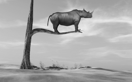 Mastering the Art of Communication